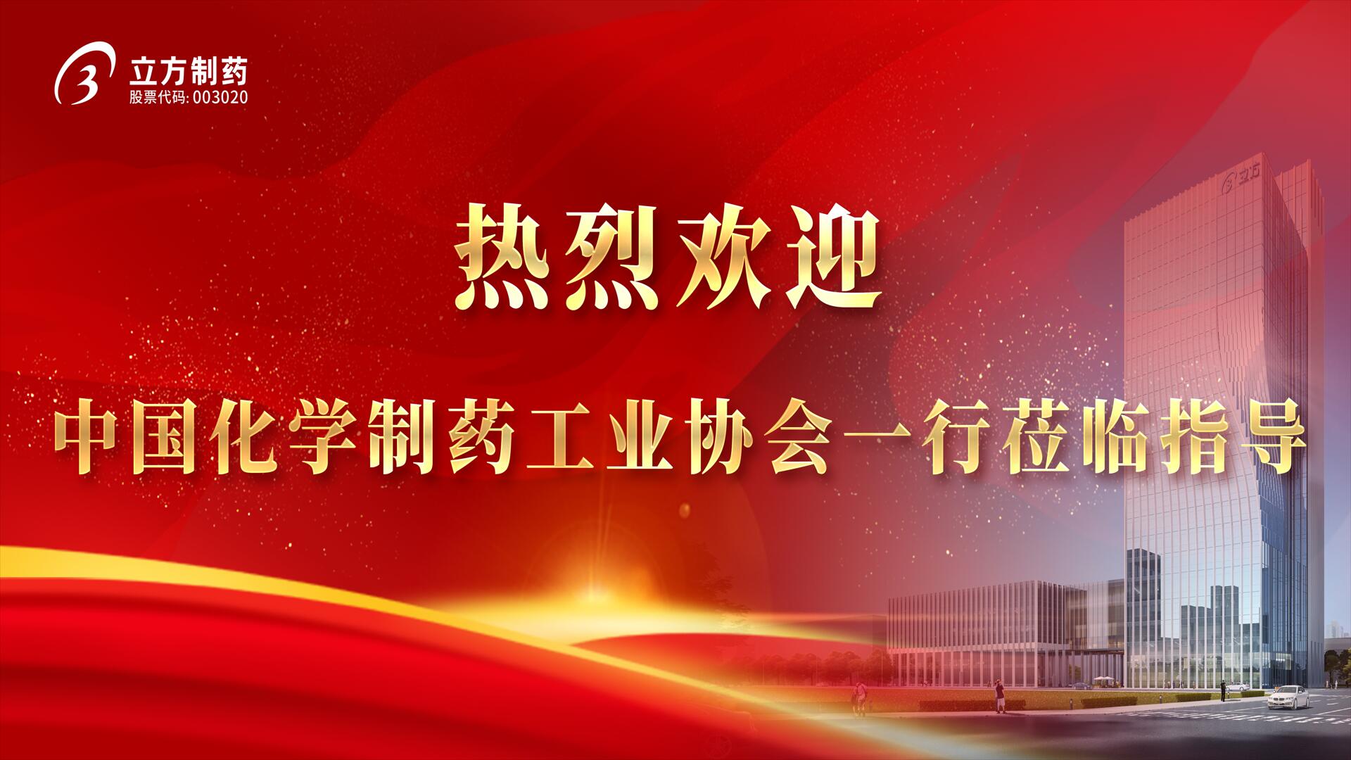 中國(guó)化學(xué)制药工业协会执行会長(cháng)雷英一行莅临我司考察指导